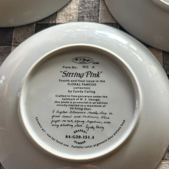 W.S George Fine China Plates by Cyndy Callog . Floral Fancies Collection - Picture 4 of 7